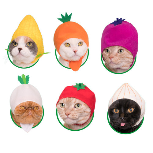 고양이 모자 야채 모자 가챠 용품